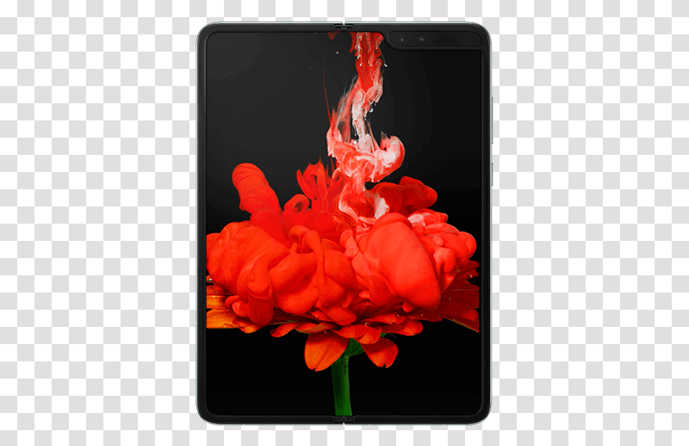 Samsung Galaxy Fold 5g Happy Dhanteras By Samsung, Petal, Flower, Plant, Blossom Transparent Png