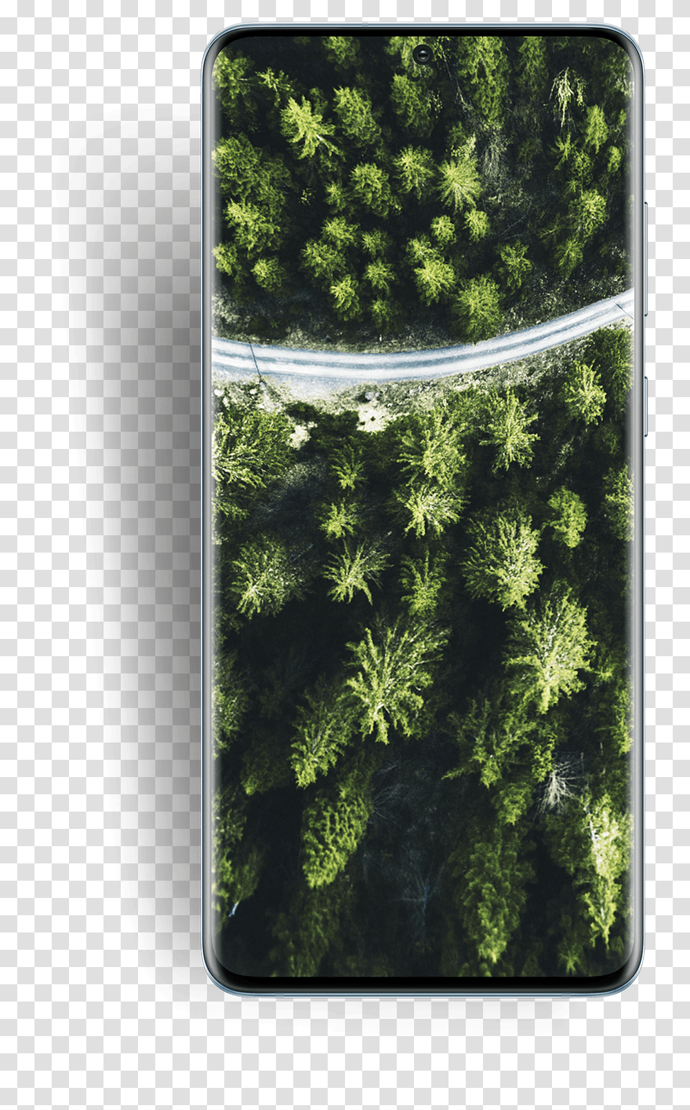 Samsung Galaxy S20 Ultra Mobile Phone, Plant, Moss, Vegetation, Tree Transparent Png