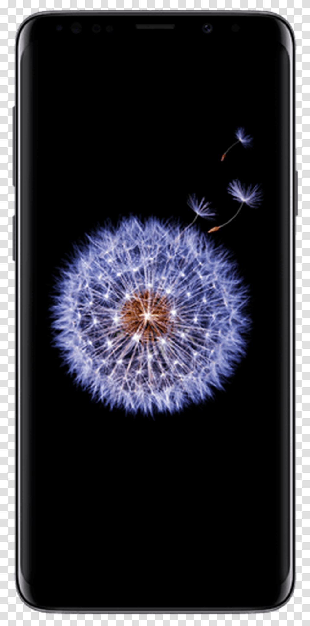 Samsung Galaxy S9 Age, Mobile Phone, Electronics, Cell Phone, Plant Transparent Png