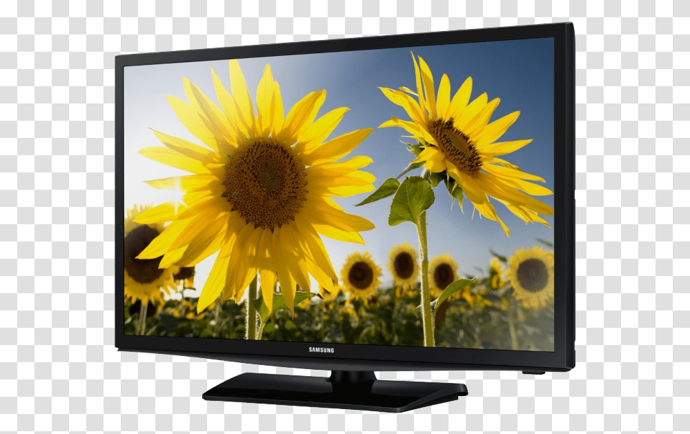 Samsung Led Tv 24 Inch Price Led Tv Images Download, Monitor, Screen, Electronics, Display Transparent Png