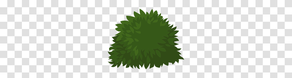 Samuels Public Library, Green, Plant, Tree, Vegetation Transparent Png