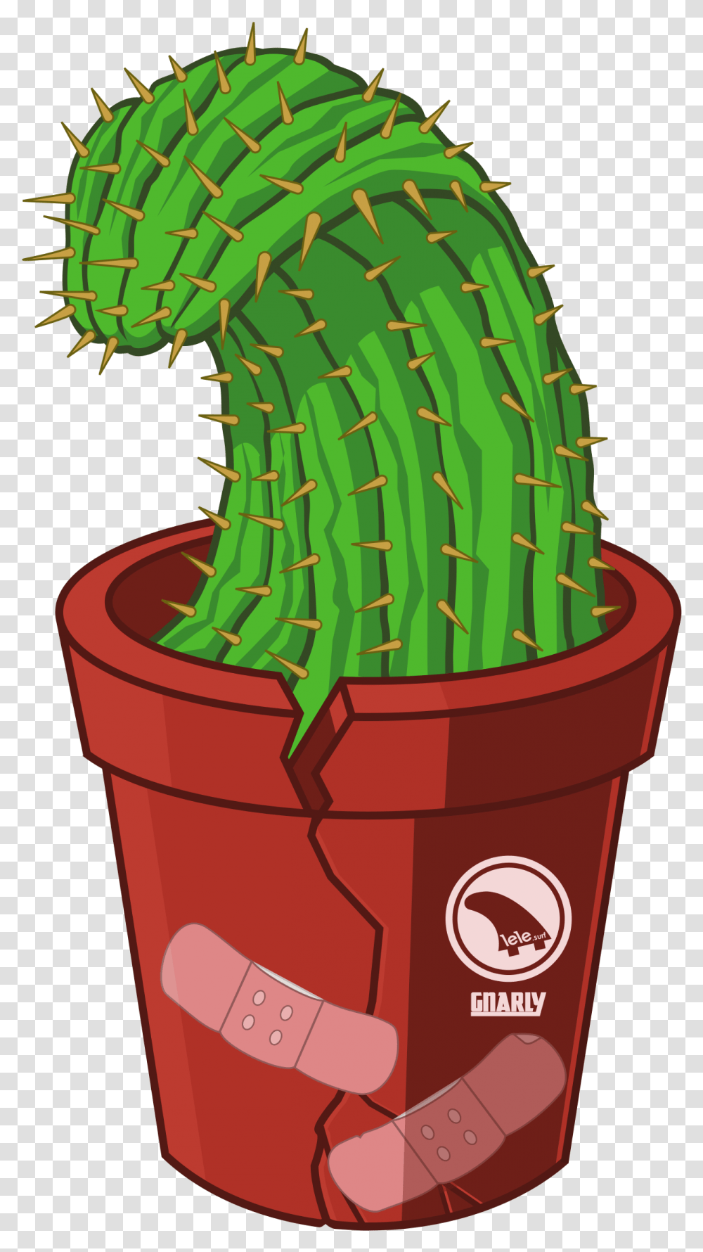 San Pedro Cactus, Plant, Birthday Cake, Dessert, Food Transparent Png