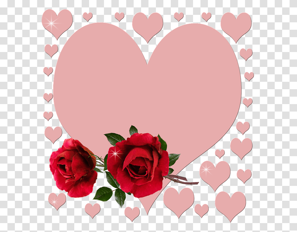 San Valentn Corazones Rosas Rojas Romntico 2019, Rose, Flower, Plant, Blossom Transparent Png