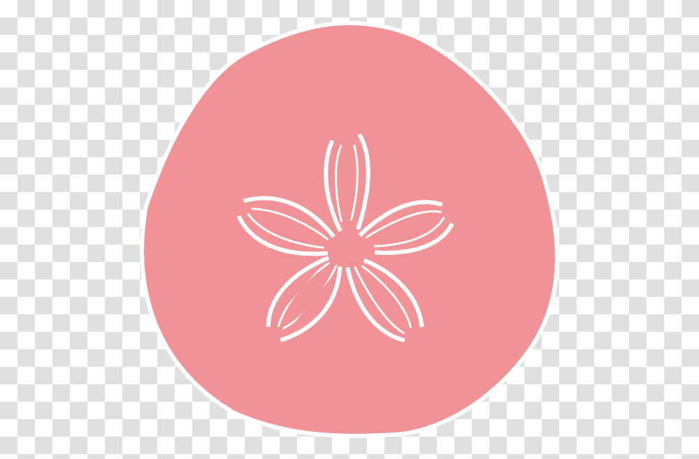 Sand Dollar Coral Clip Art, Plant, Tennis Ball, Flower, Sweets Transparent Png