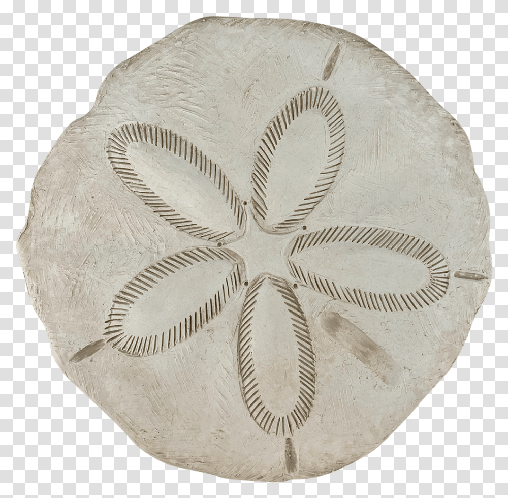 Sand Dollar, Fossil, Soil, Pottery, Archaeology Transparent Png