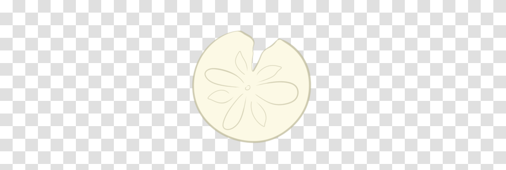 Sand Dollar, Plant, Petal, Flower, Cushion Transparent Png