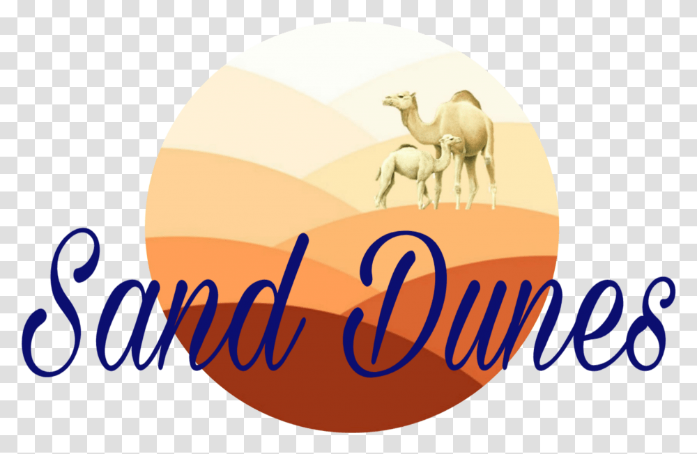 Sand Dunes, Camel, Mammal, Animal, Horse Transparent Png