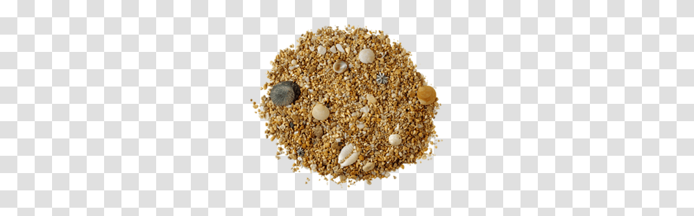 Sand, Nature, Breakfast, Food, Fungus Transparent Png