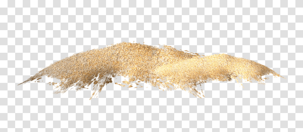 Sand, Nature, Lizard, Animal, Mammal Transparent Png