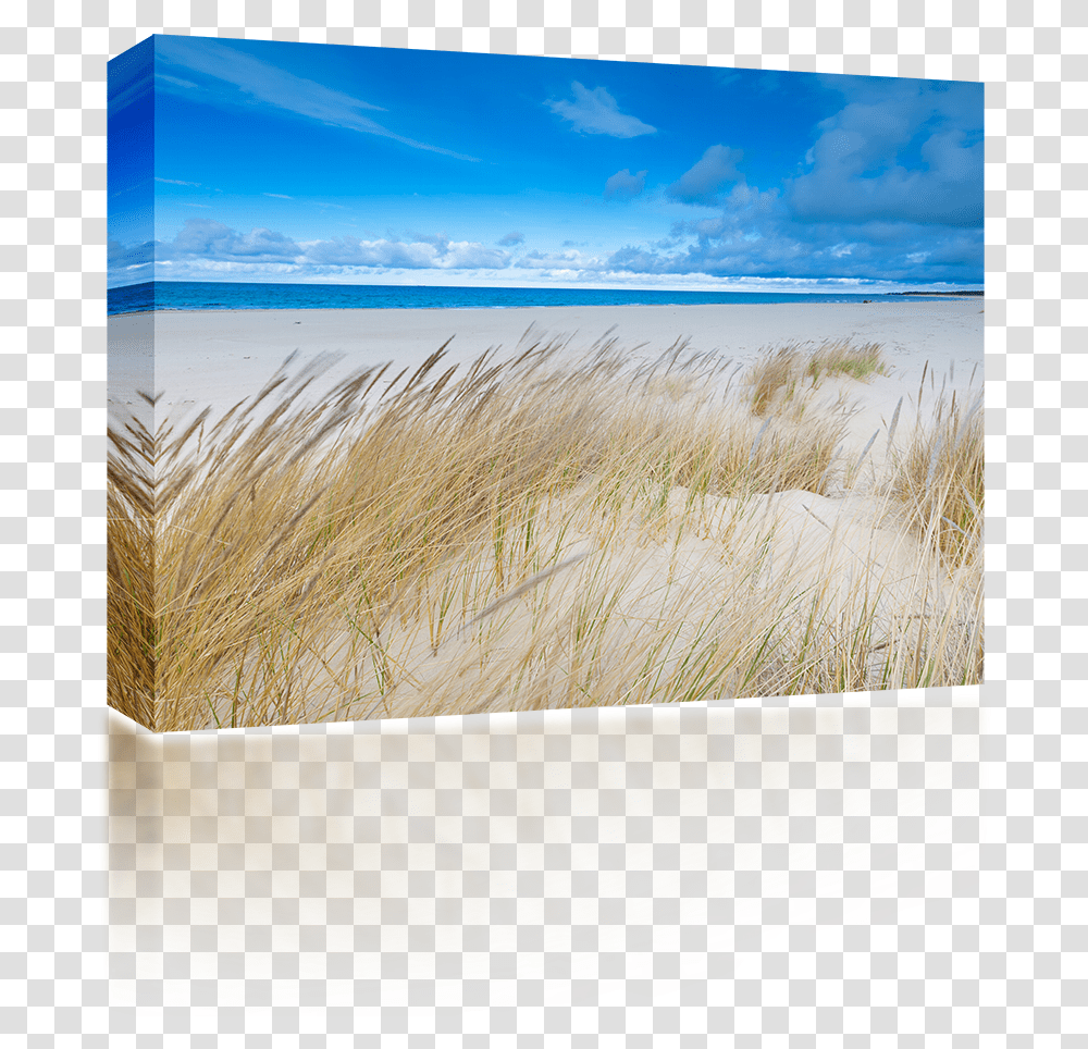 Sand, Shoreline, Water, Nature, Sea Transparent Png