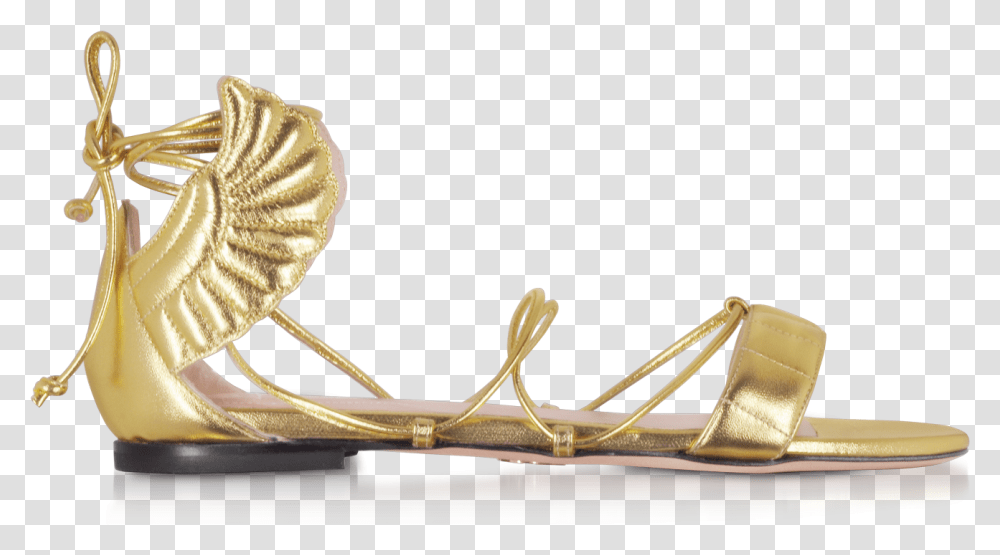 Sandal, Apparel, Animal, Hat Transparent Png