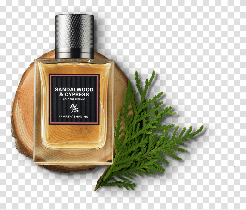 Sandalwood Cypress Visual Sandal Wood Cypress, Bottle, Cosmetics, Aftershave, Perfume Transparent Png
