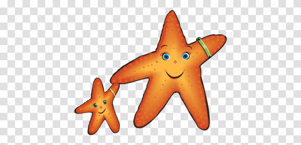 Sandi Starfish To Help Kids Stay Safe This Summer Starfish, Invertebrate, Sea Life, Animal, Horse Transparent Png