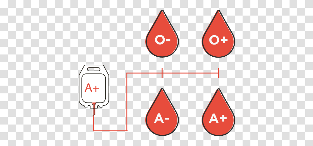 Sangre, Label, Plot Transparent Png