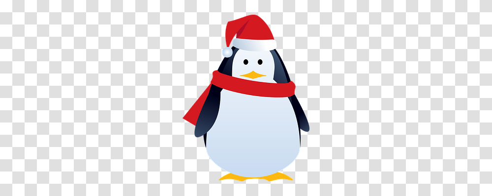 Santa Animals, Penguin, Bird, Snowman Transparent Png
