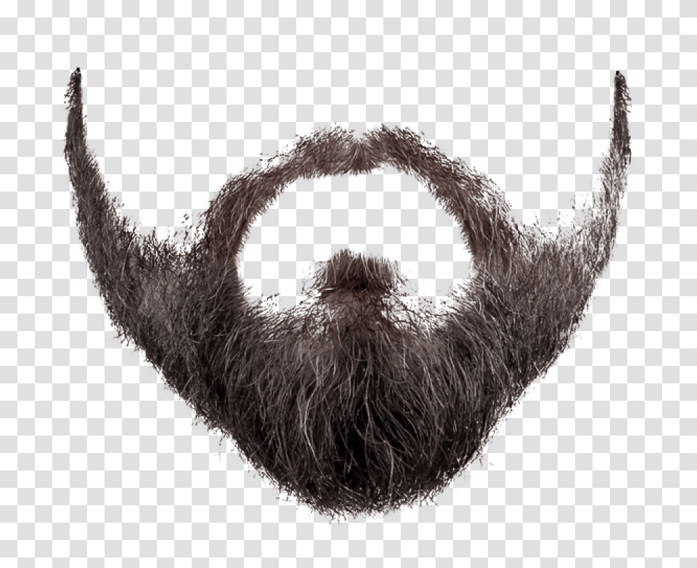 Santa Claus Beard Beard, Animal, Face, Dinosaur, Reptile Transparent Png
