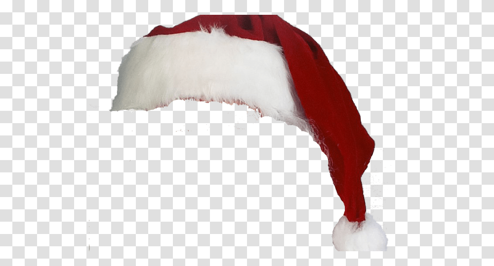 Santa Claus Hat, Bird, Cushion, Pillow Transparent Png