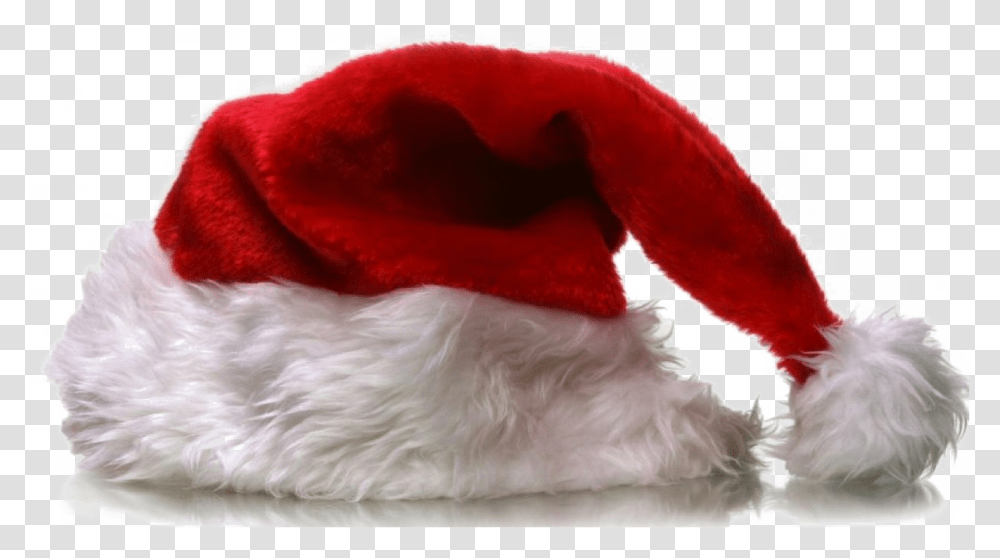 Santa Claus Hat Photo Santa Clause Hat, Dog, Pet, Canine, Animal Transparent Png