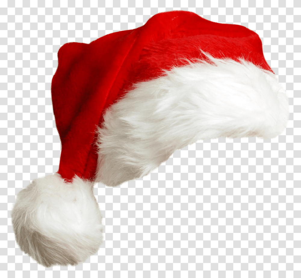 Santa Claus Mrs Santa Claus Hat, Clothing, Apparel, Bird, Animal Transparent Png