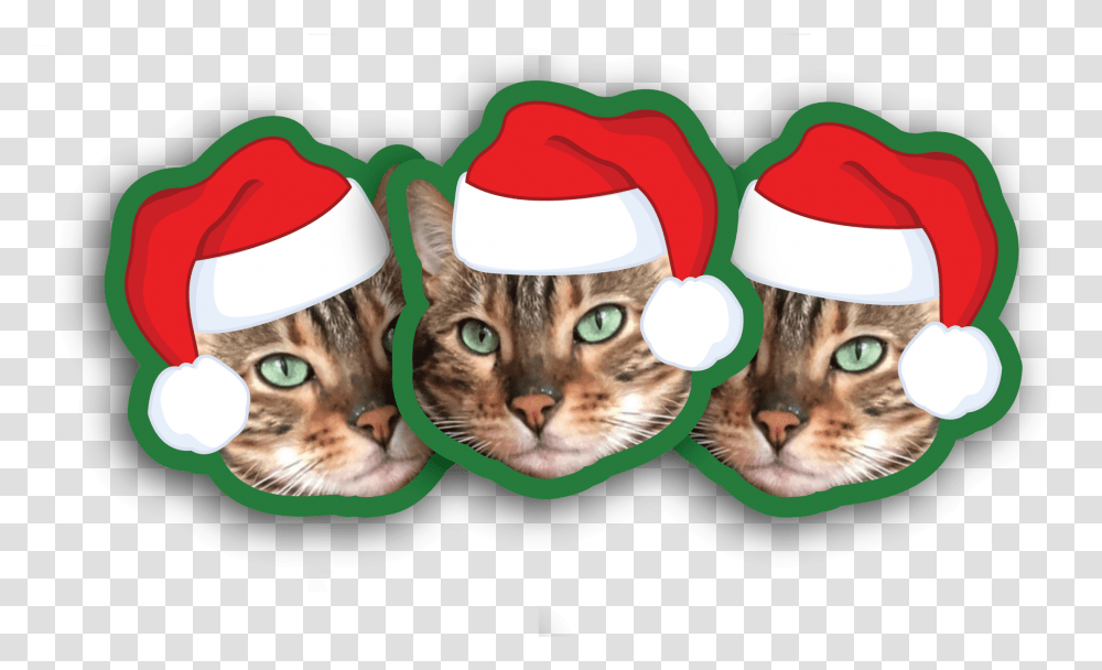 Santa Hat Stickers Illustration, Person, Cat, Pet, Mammal Transparent Png