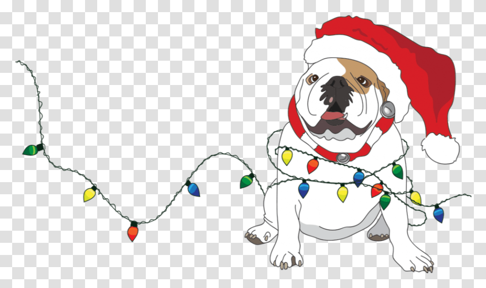 Santa Illustration, Bulldog, Pet, Canine, Animal Transparent Png