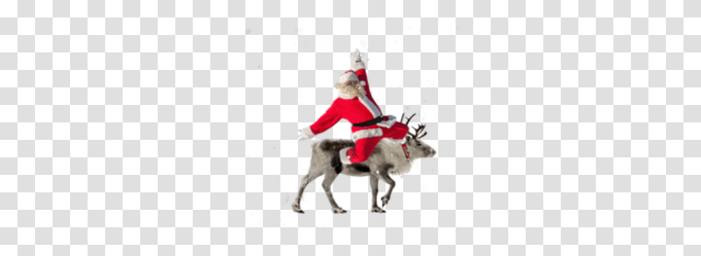Santa Reindeer Christmas Holiday Reindeer, Person, Horse, Mammal, Animal Transparent Png