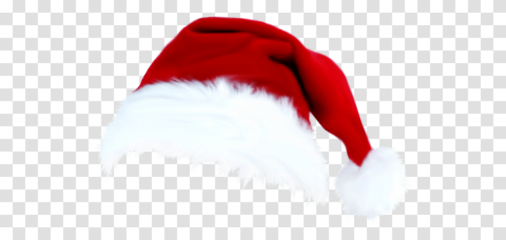 Santa Santa Claus Christmas Santahat Santa Hat Background Christmas Hat, Dog, Animal, Bird Transparent Png
