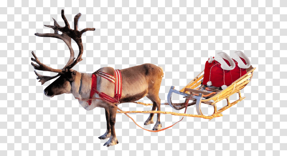 Santa Sleigh Clipart Christmas Reindeer Background, Antelope, Wildlife, Mammal, Animal Transparent Png