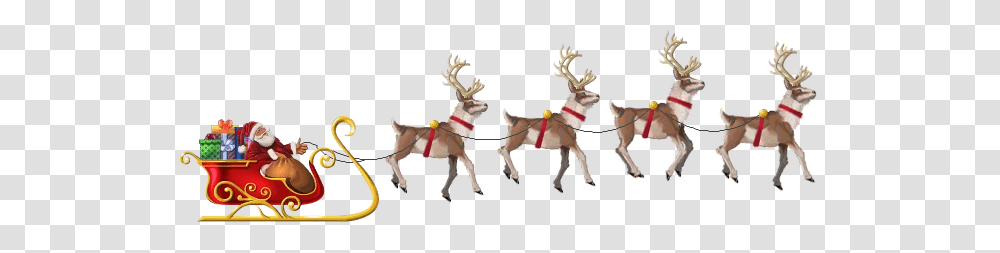 Santa Sleigh, Dog, Pet, Canine, Animal Transparent Png