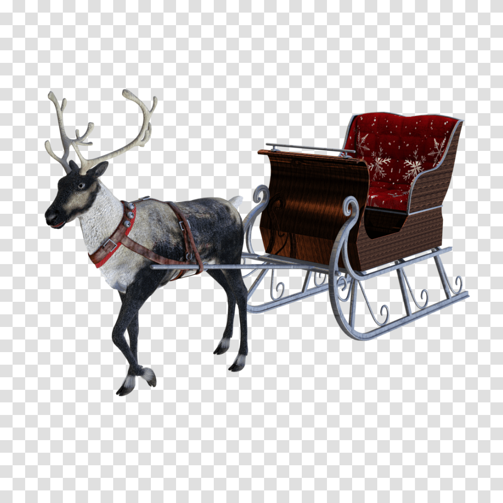 Santa Sleigh, Holiday, Antelope, Wildlife, Mammal Transparent Png