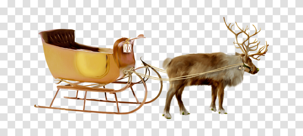 Santa Sleigh, Holiday, Chair, Furniture, Dog Transparent Png