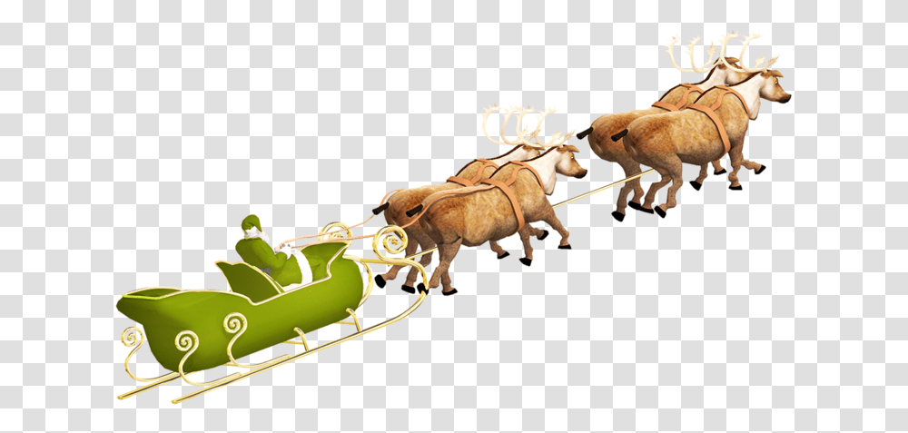 Santa Sleigh, Holiday, Horse, Mammal, Animal Transparent Png