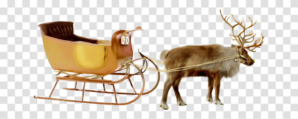 Santa Sleigh Sleigh, Chair, Furniture, Dog, Pet Transparent Png