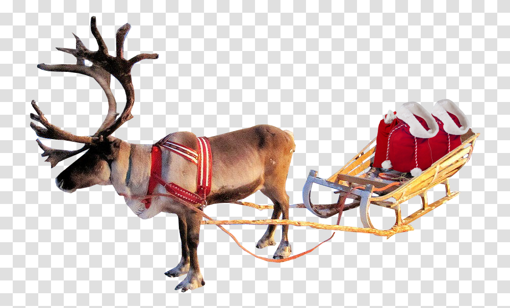 Santa Sleigh With Background, Elk, Deer, Wildlife, Mammal Transparent Png