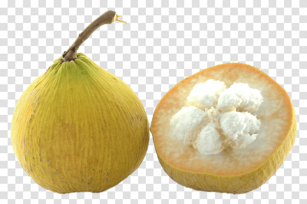 Santol Tree Santol Clipart, Egg, Food, Plant, Fruit Transparent Png