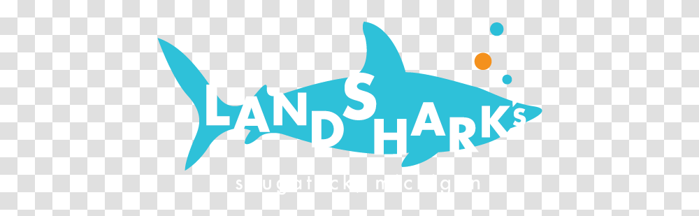 Sanuk Mackerel Sharks, Sea Life, Animal, Fish, Poster Transparent Png