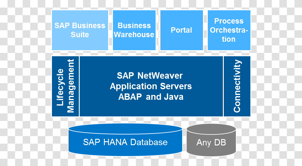 Sap Netweaver Printing, Label, Plot, Cylinder Transparent Png