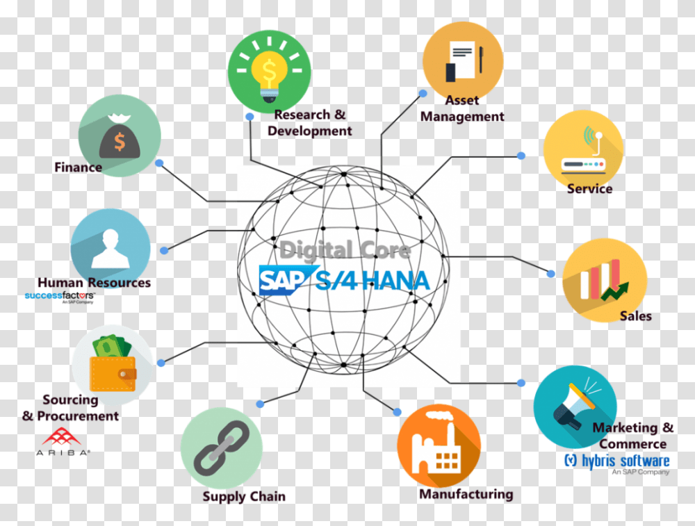 Sap Solution, Network, Diagram, Plot Transparent Png