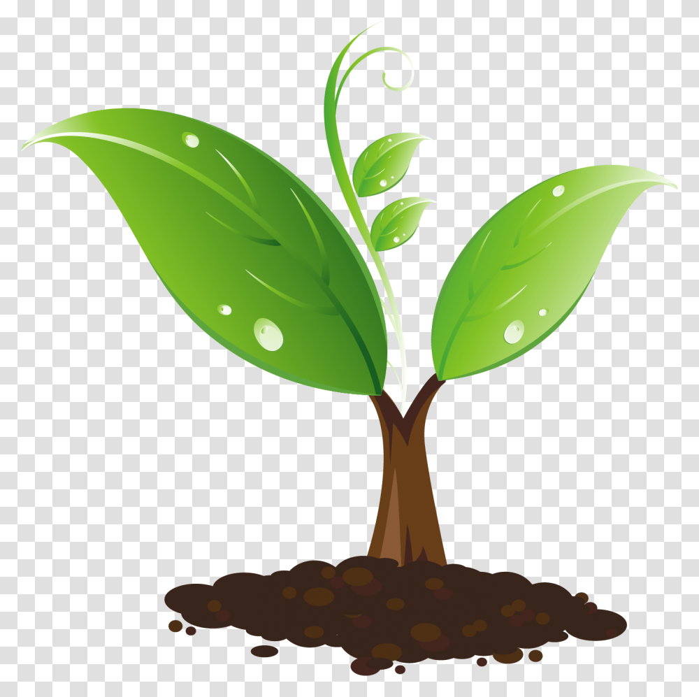 Sapling Clipart, Green, Leaf, Plant, Sprout Transparent Png