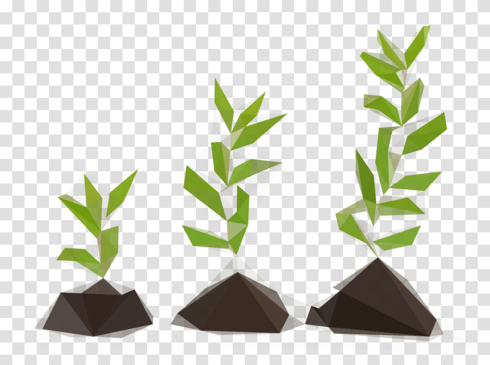 Saplingpoly Imagenes Del Verbo Grow, Green, Plant, Leaf Transparent Png