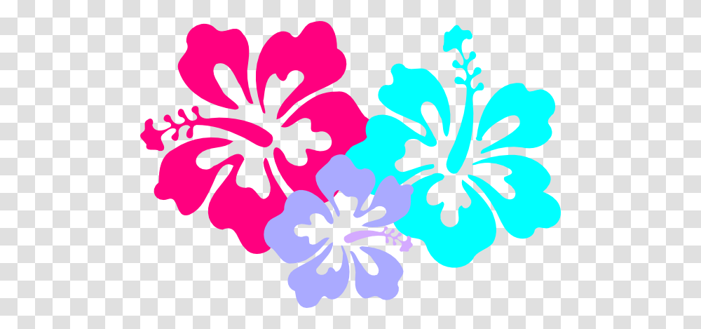 Sarah Clipart Gallery Images, Plant, Hibiscus, Flower, Blossom Transparent Png