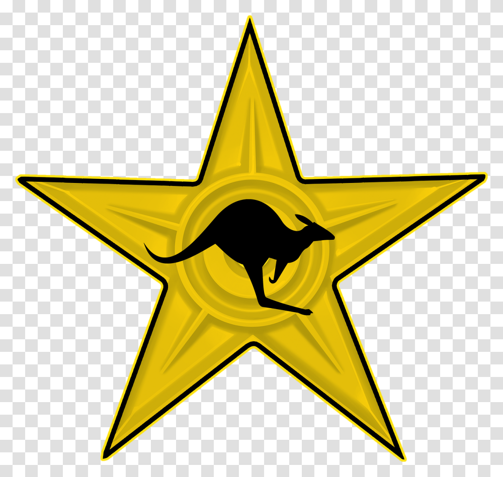 Sarcastic Gold Star Awards, Star Symbol Transparent Png