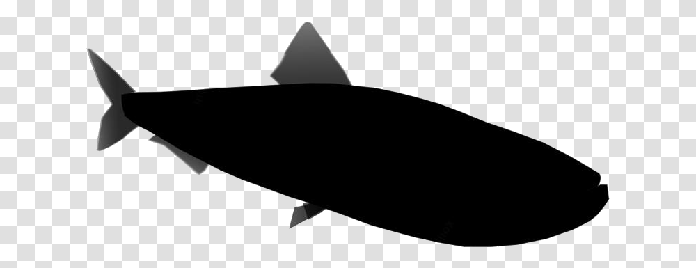 Sardine Images Shark, Bow, Vehicle, Transportation, Airship Transparent Png