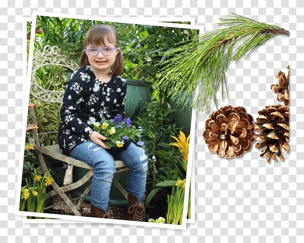 Sarina Two Needle Pinyon Pine, Person, Outdoors, Garden, Plant Transparent Png