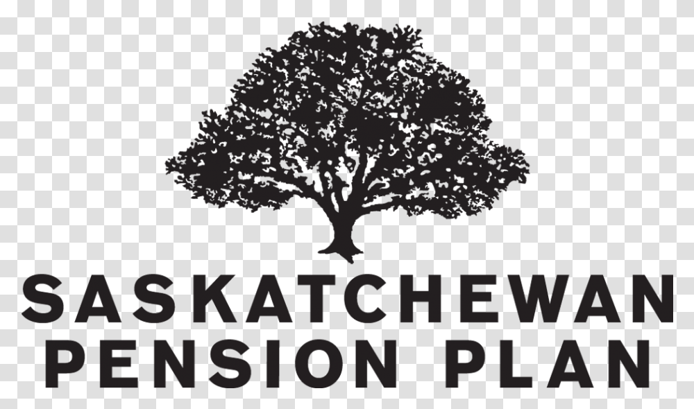 Saskatchewan Pension Plan Saskatchewan Pension Plan Logo, Tree, Plant, Oak, Poster Transparent Png