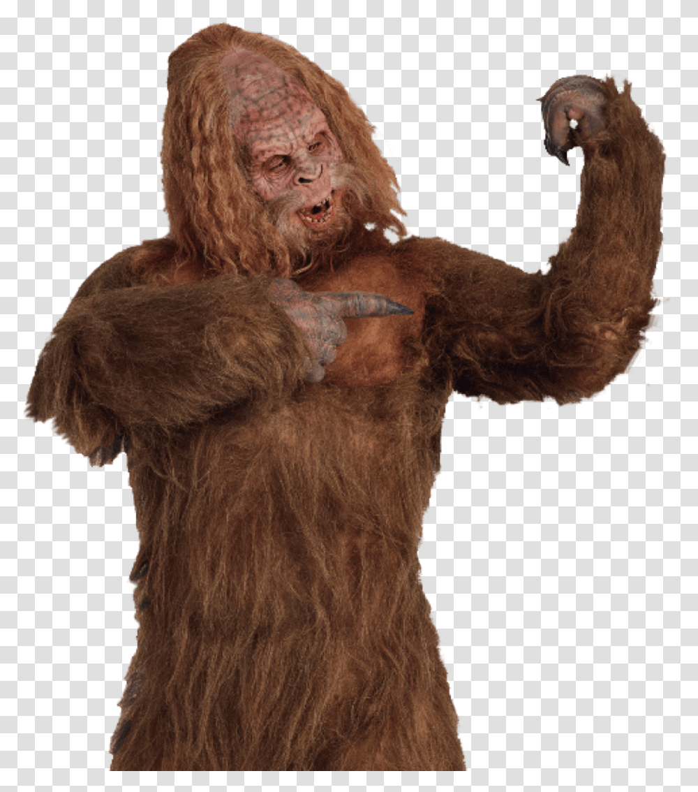 Sasquatch Images In Collection Sasquatch, Mammal, Animal, Wildlife, Person Transparent Png