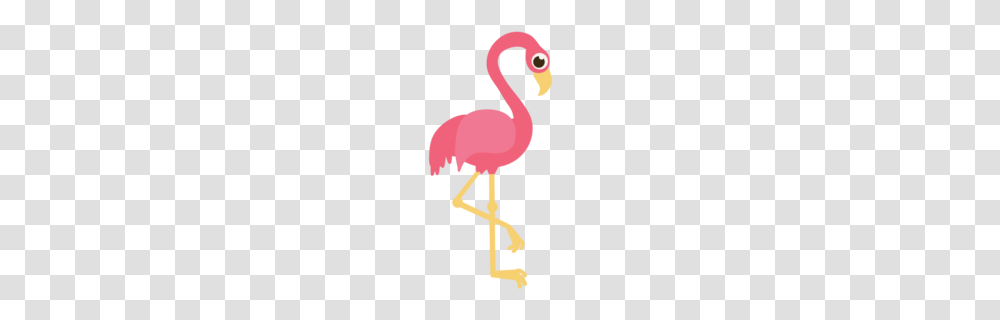 Sassy Flamingo Clipart, Bird, Animal, Poster, Advertisement Transparent Png