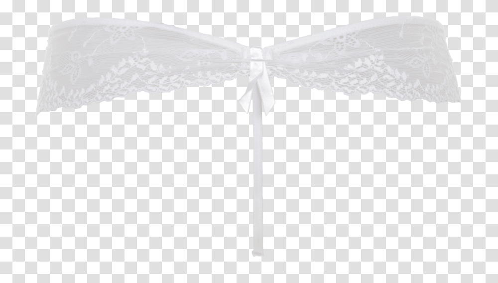 Satin, Insect, Invertebrate, Animal, Wasp Transparent Png