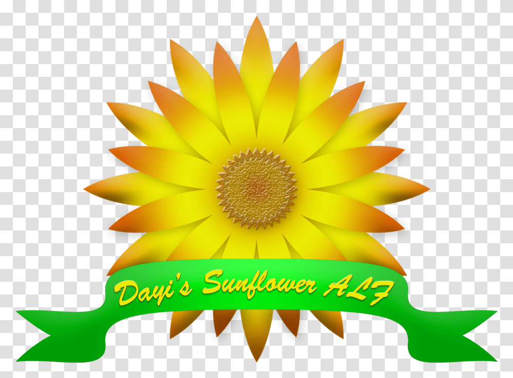 Satisfaccion Garantizada O Te Devolvemos Tu Dinero, Plant, Flower, Blossom, Sunflower Transparent Png