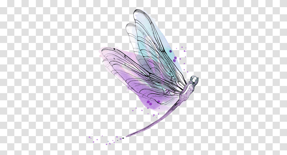 Saturday November 17 2018 All Day Trance Workshop Watercolor Dragonfly Background, Invertebrate, Animal, Insect, Bird Transparent Png